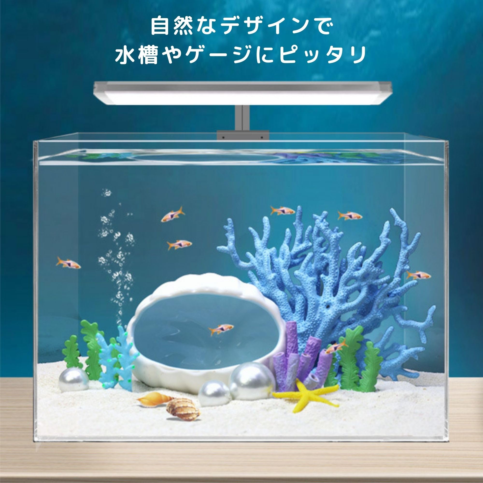 Amazon | Pochumore ウーパールーパー 隠れ家 水槽 シェルター